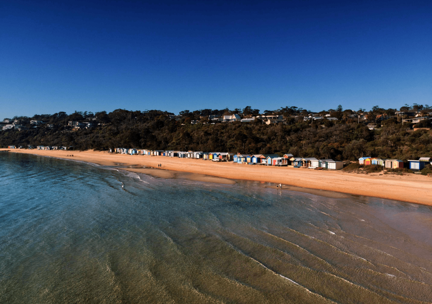 A wide shot of a beach at Mornington.